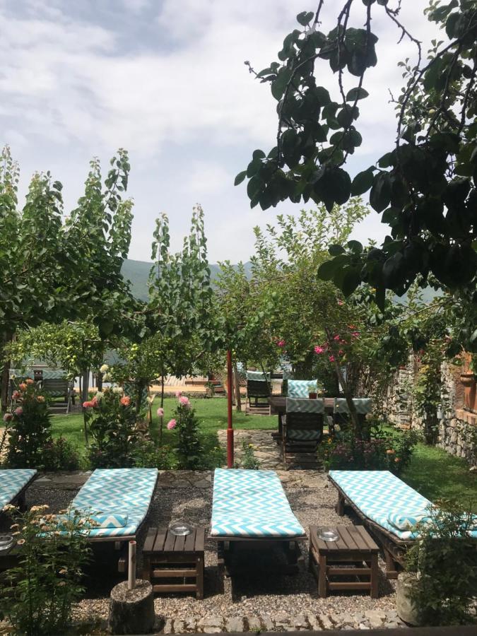 Guest House Lin