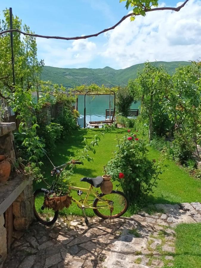 Gasthof Guest House Lin Lini