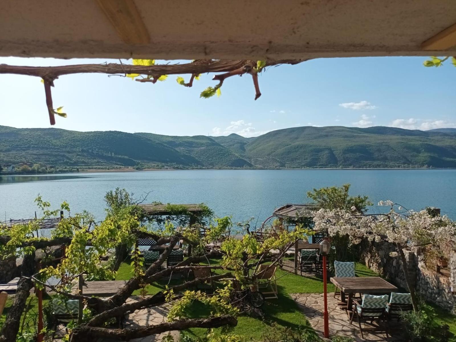 Guest House Lin Gasthof Lini
