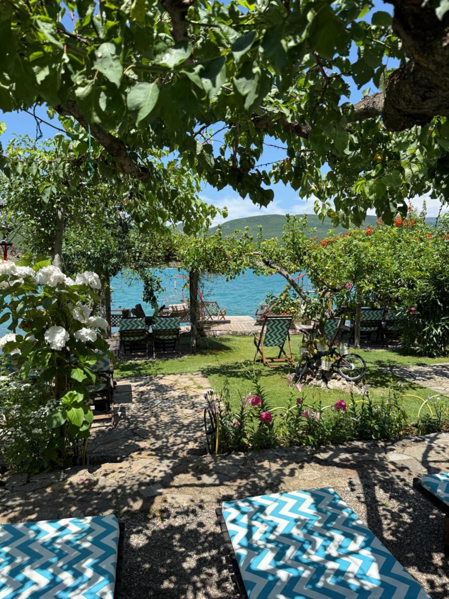 Guest House Lin Pensjonat Lini