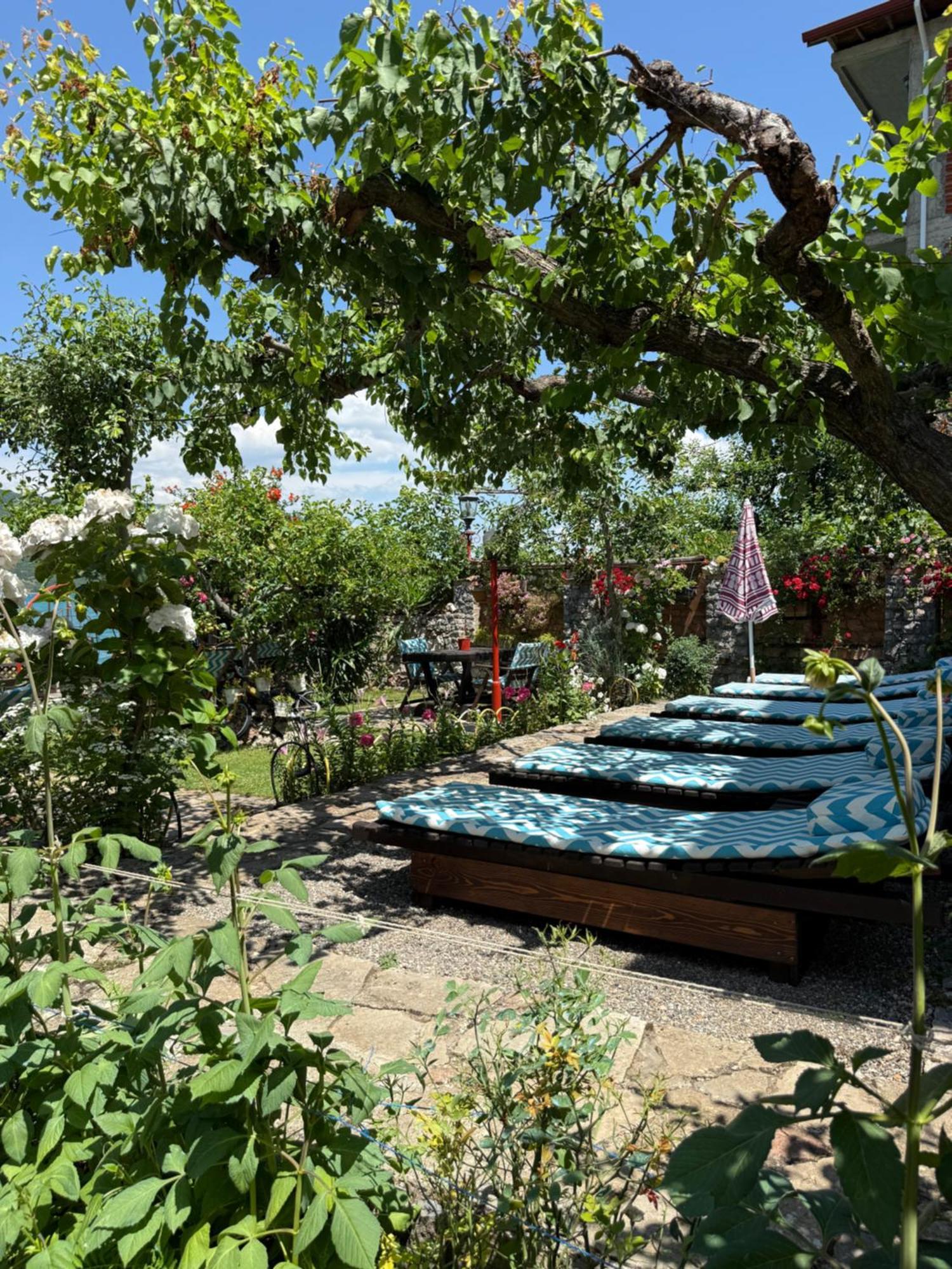 Guest House Lin Lini