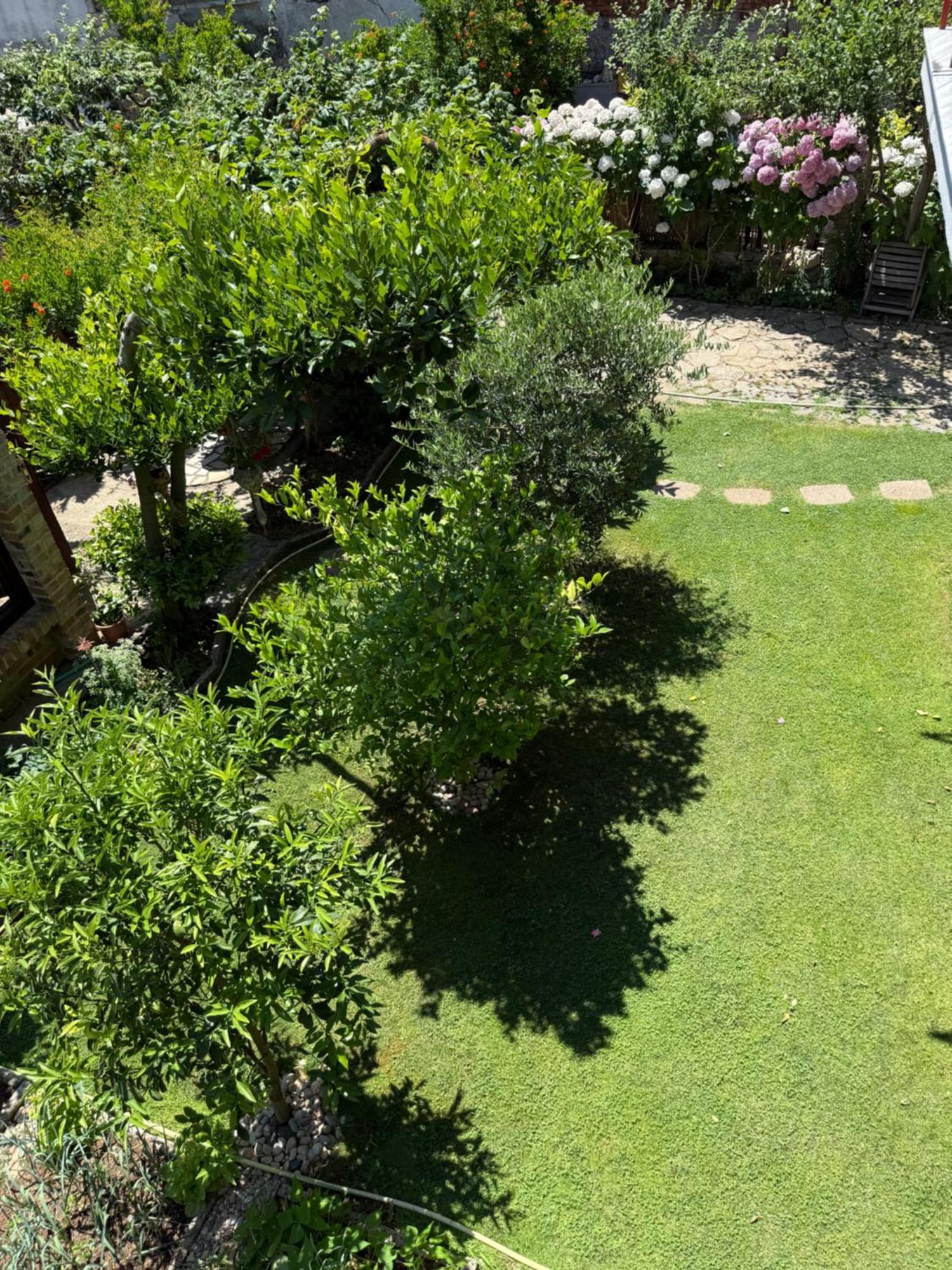 Guest House Lin Lini