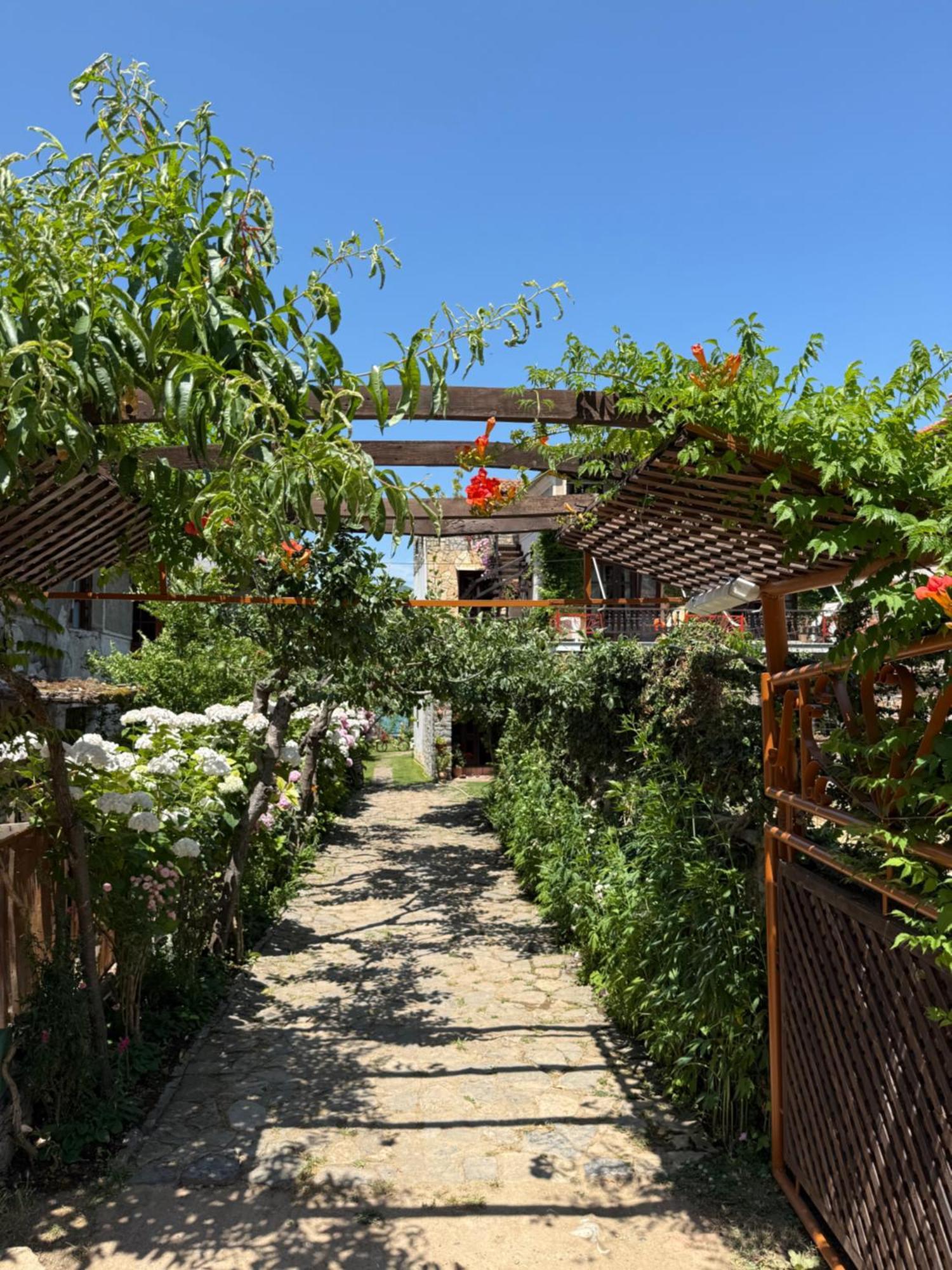 Guest House Lin Maison d'hôtes Lini