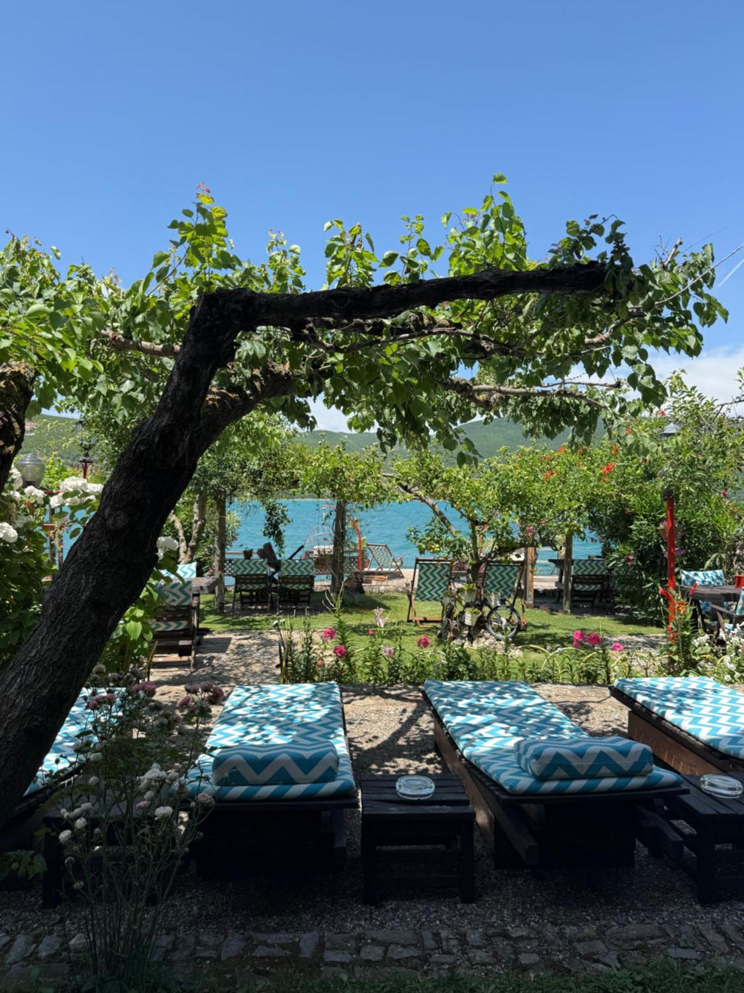 Guest House Lin