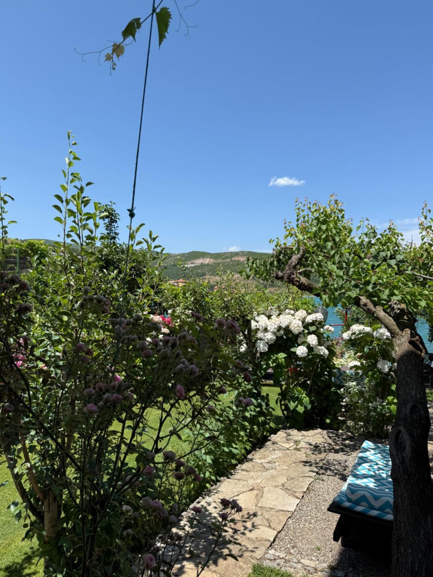 Guest House Lin Maison d'hôtes